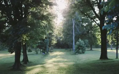 Take Your Entire Church on a Retreat