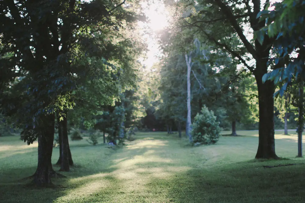 Take Your Entire Church on a Retreat